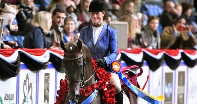 Equestrian Riding Lessons at Peri Lee LLC