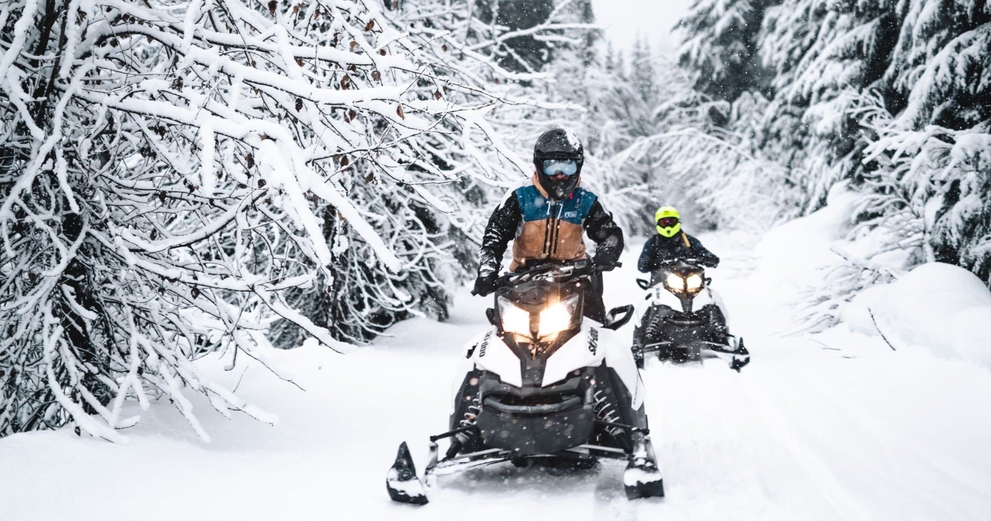 Wilderness Snowmobile Adventure in Whistler, BC