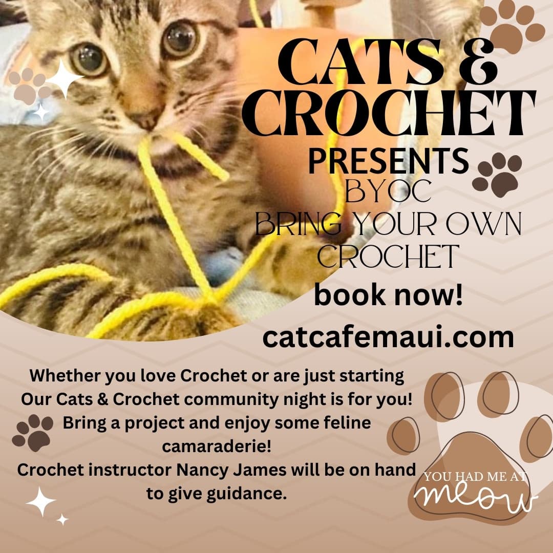 Cats & Crochet at Cat Cafe Maui in Kahului