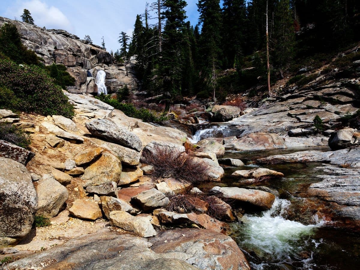 Rocky mountain stream cascading through high-elevation forest landscape