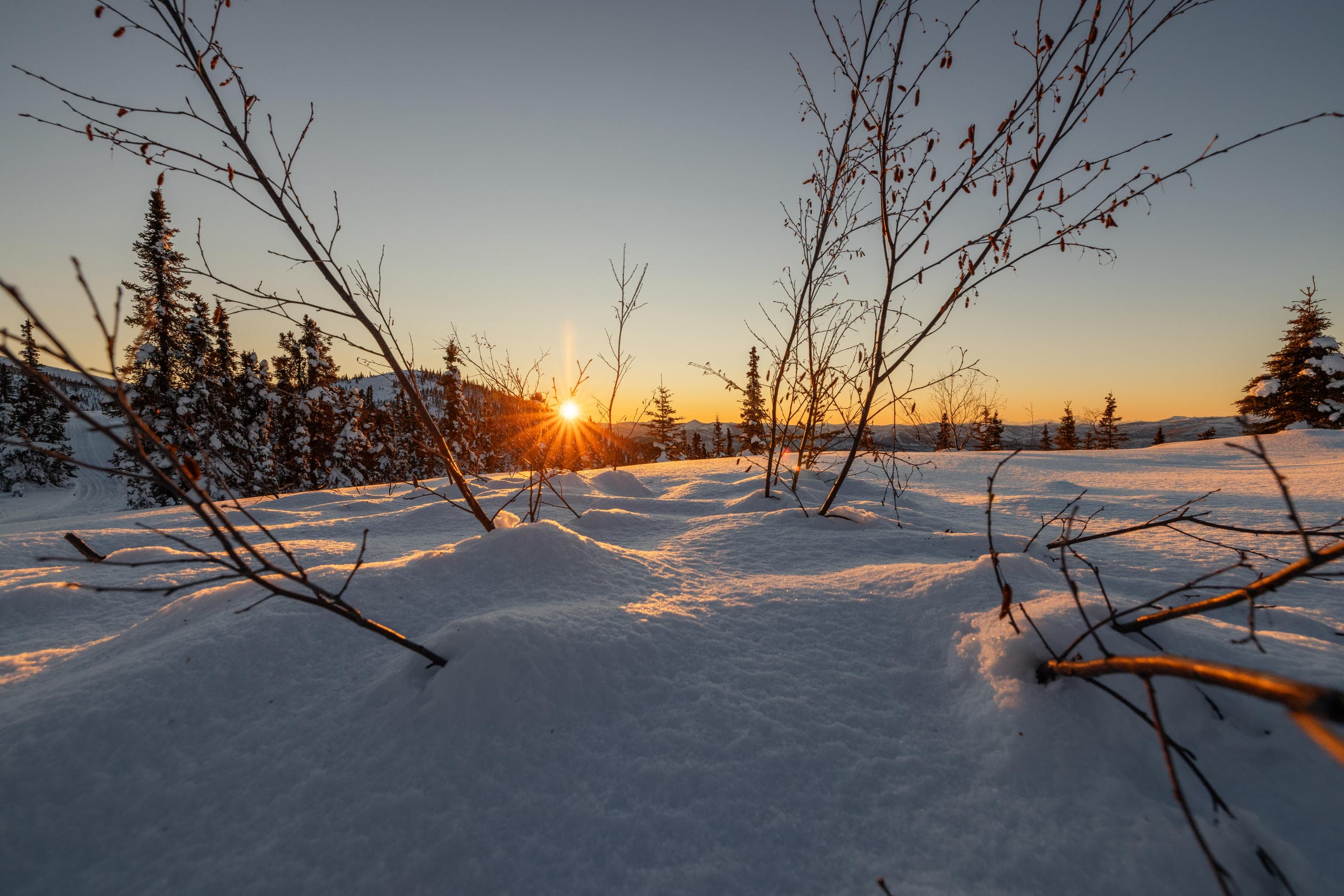 Sunset Snow Coach Tour at Chena Hot Springs in Fairbanks
