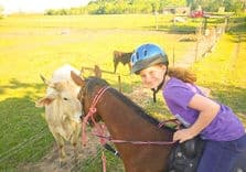 Beginner Horse Riding Lessons in Houston: Connect, Learn, and Ride with Confidence