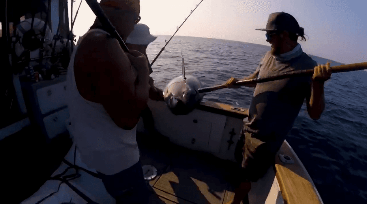 Epic Tuna Fishing Adventure in San Diego Waters