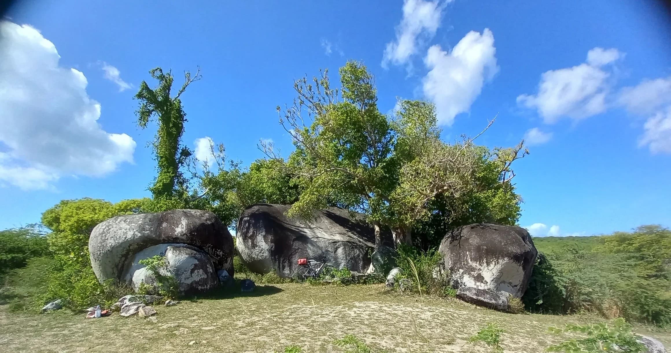 Sunny coastal boulder field and grassland near shoreline