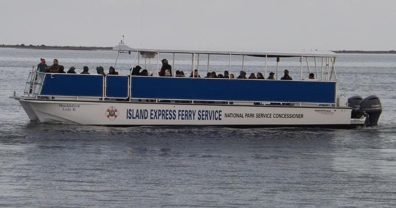 Experience Beaufort’s Wild Horses and Dolphins on a Scenic Sunset Cruise to Shackleford Banks