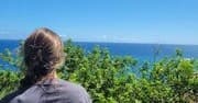 Water Activities & Eternal Wave Surf Shop: Surf in Style