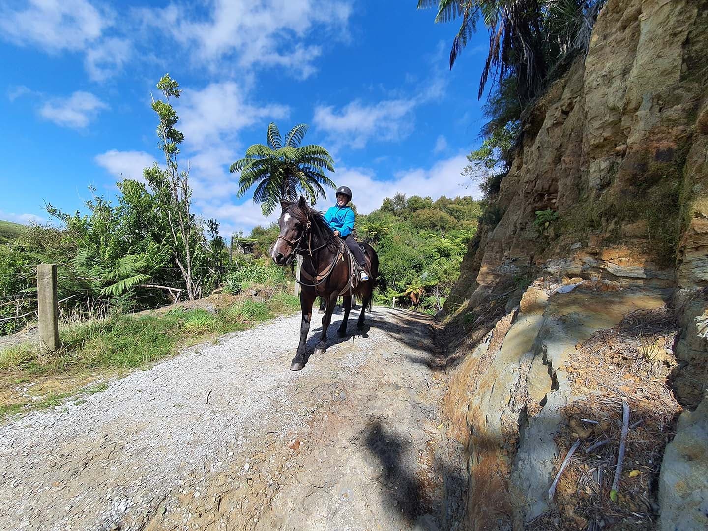 Explore the Hack Track Fairy Trail Loop Ride in Tākaka, New Zealand: A Diverse Outdoor Adventure
