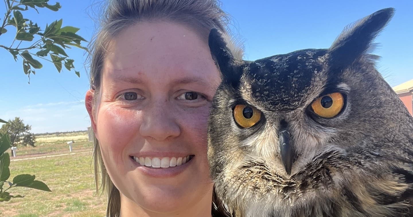 Meet the Grand Canyon Raptors in Williams, Arizona