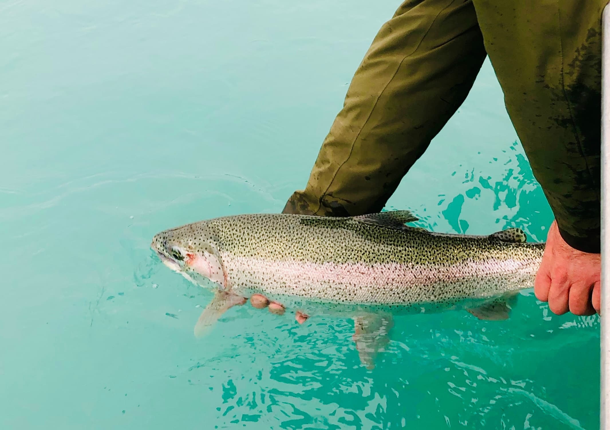 Kenai Peninsula Salmon and Trout Combo: 8-Hour Soldotna Charter for Trophy Trout and Salmon