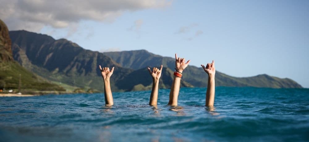 Kalo Reserve Private Tour: A Custom Day Exploring Oʻahu’s Blowholes, Taro Lo‘i, and Coastal Lookouts