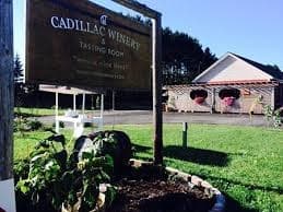 Wine Tasting & Autumn Views at Cadillac Winery