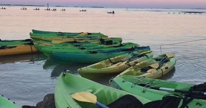 Row of colorful rental kayaks on shoreline ready for tour