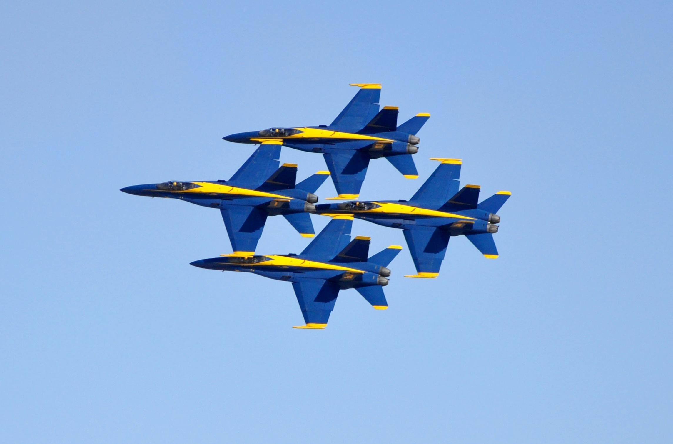 Water-Activities & Blue Dolphins Cruise in Pensacola