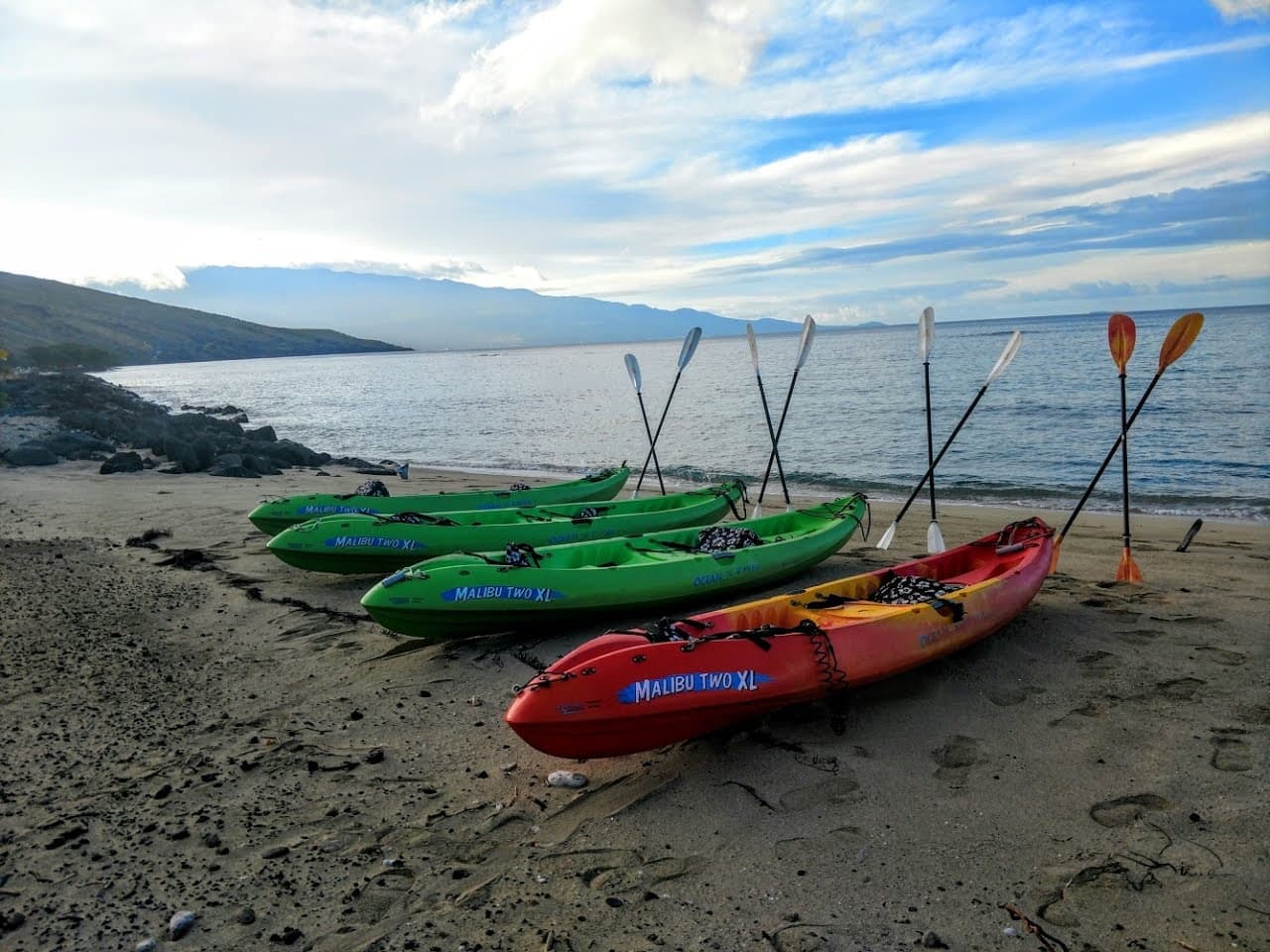 Wailea Coastline Discovery