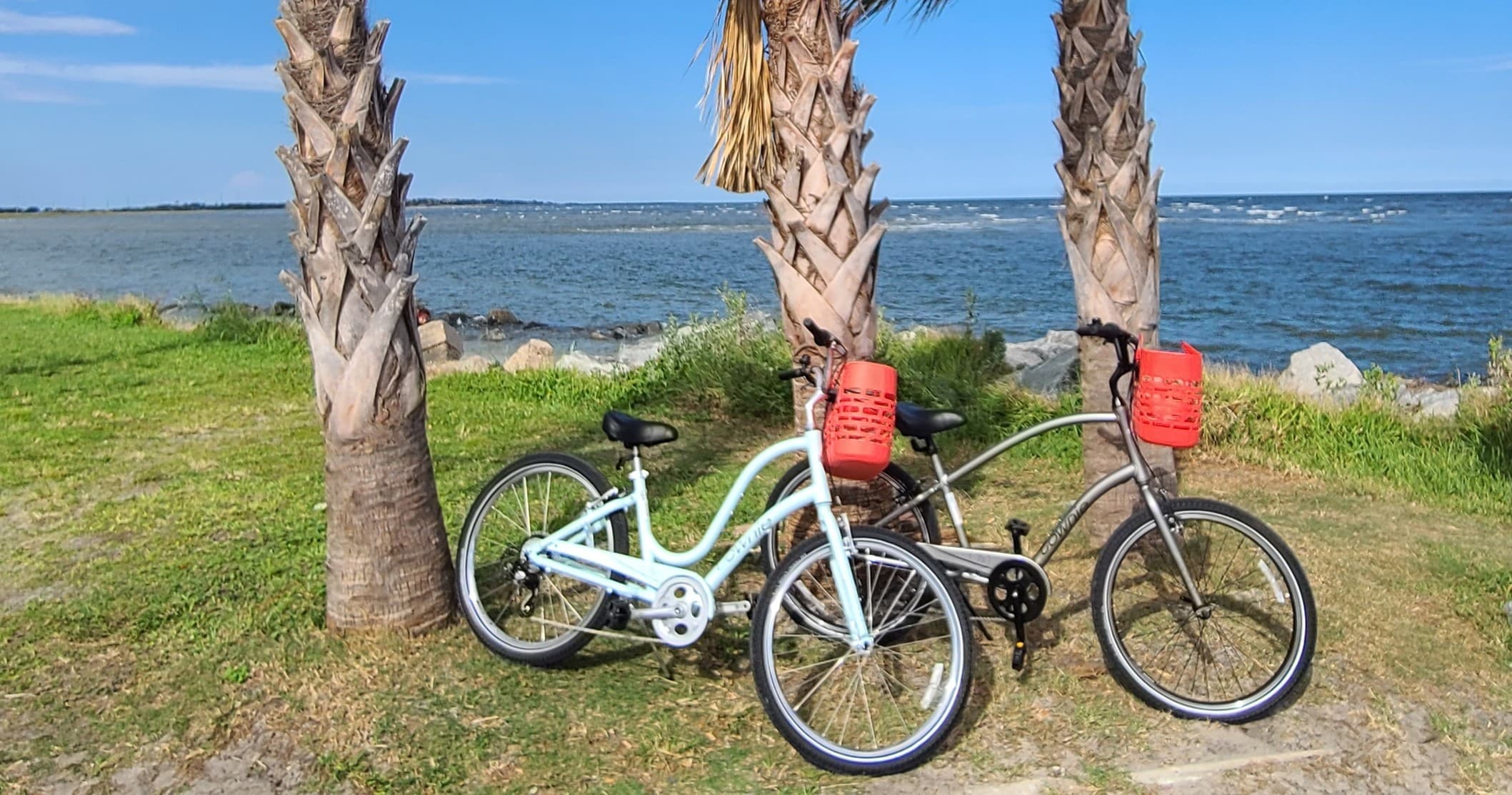 City Tour in Jekyll Island, Georgia