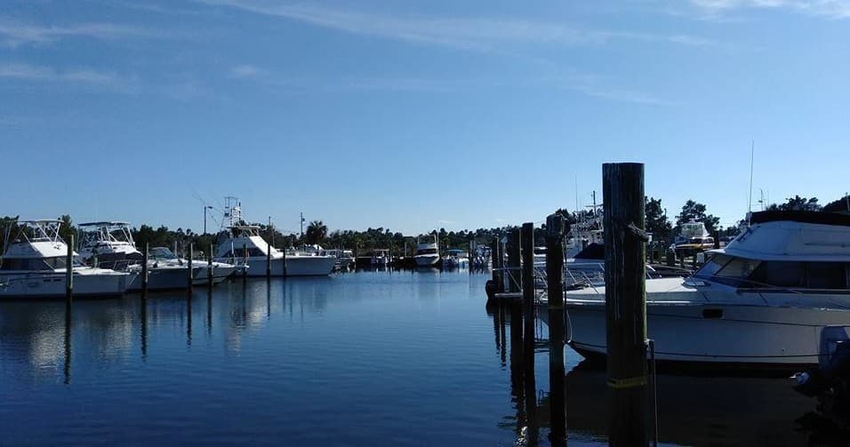 Explore Crystal River’s Waters with Half-Day Carolina Skiff Rentals
