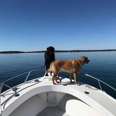 Spicer Marine Basin fleet