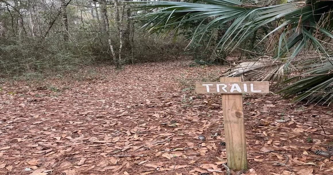 Woodland trail sign amid leaf-covered path in coastal forest