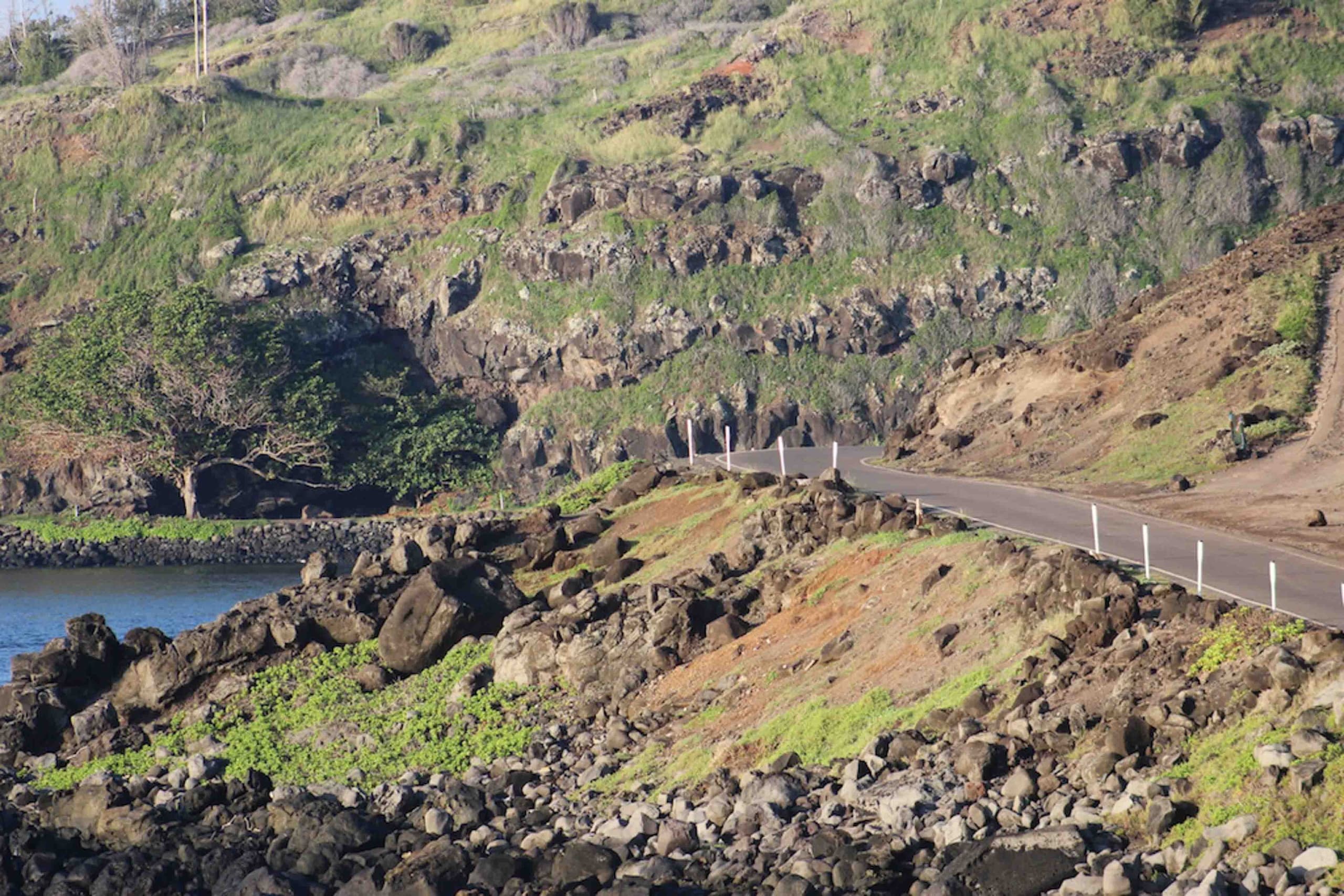 Explore Molokai’s Hidden Wonders on a Full-Day Island Tour