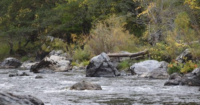 Tamarack Cabin Retreat at Steelhead Cottages, Junction City