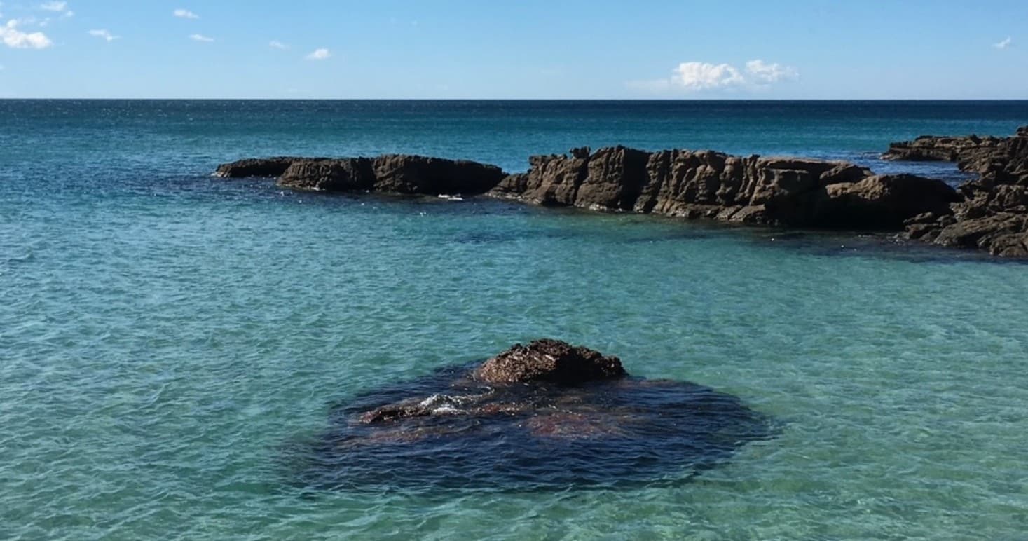 Cultural & Land Adventures at Pambula Beach with Yandama On Country