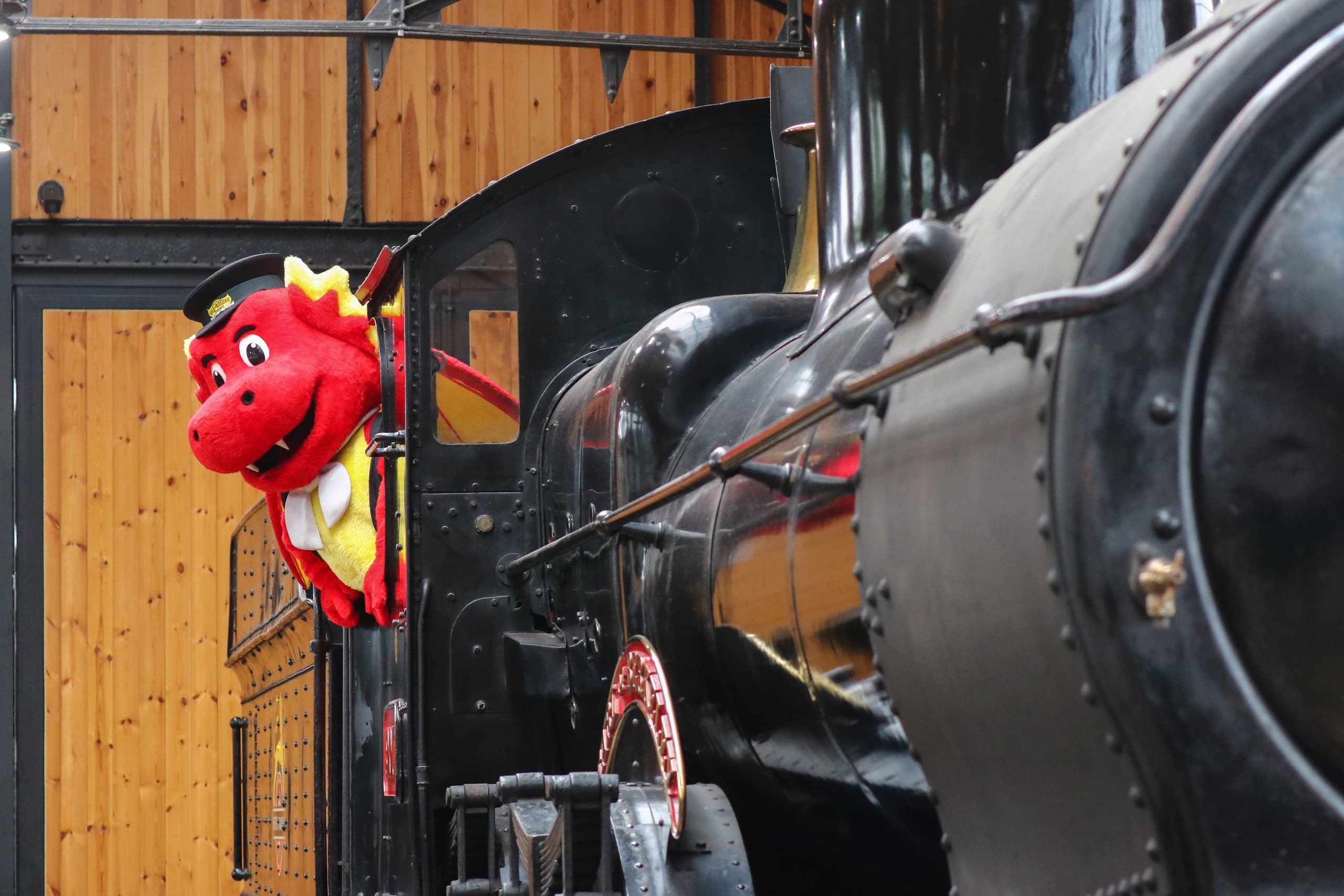 Family Adventure & Cultural Fun at Vale of Rheidol Railway