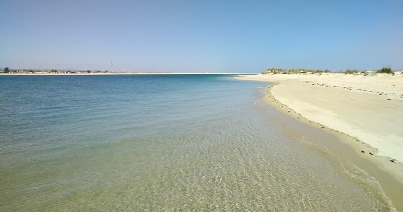 Slow Half-Day Sail Through Portugal’s Ria Formosa: Culatra, Farol & Seahorses