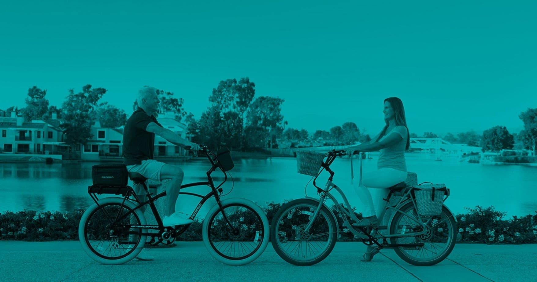 Pedego Chattanooga fleet
