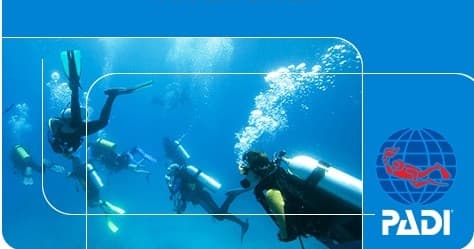 PADI scuba diving promotional banner with divers underwater scene