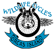 Carry Two Bikes Anywhere: Trunk Rack Rentals for Exploring Eastsound and Orcas Island photo 1