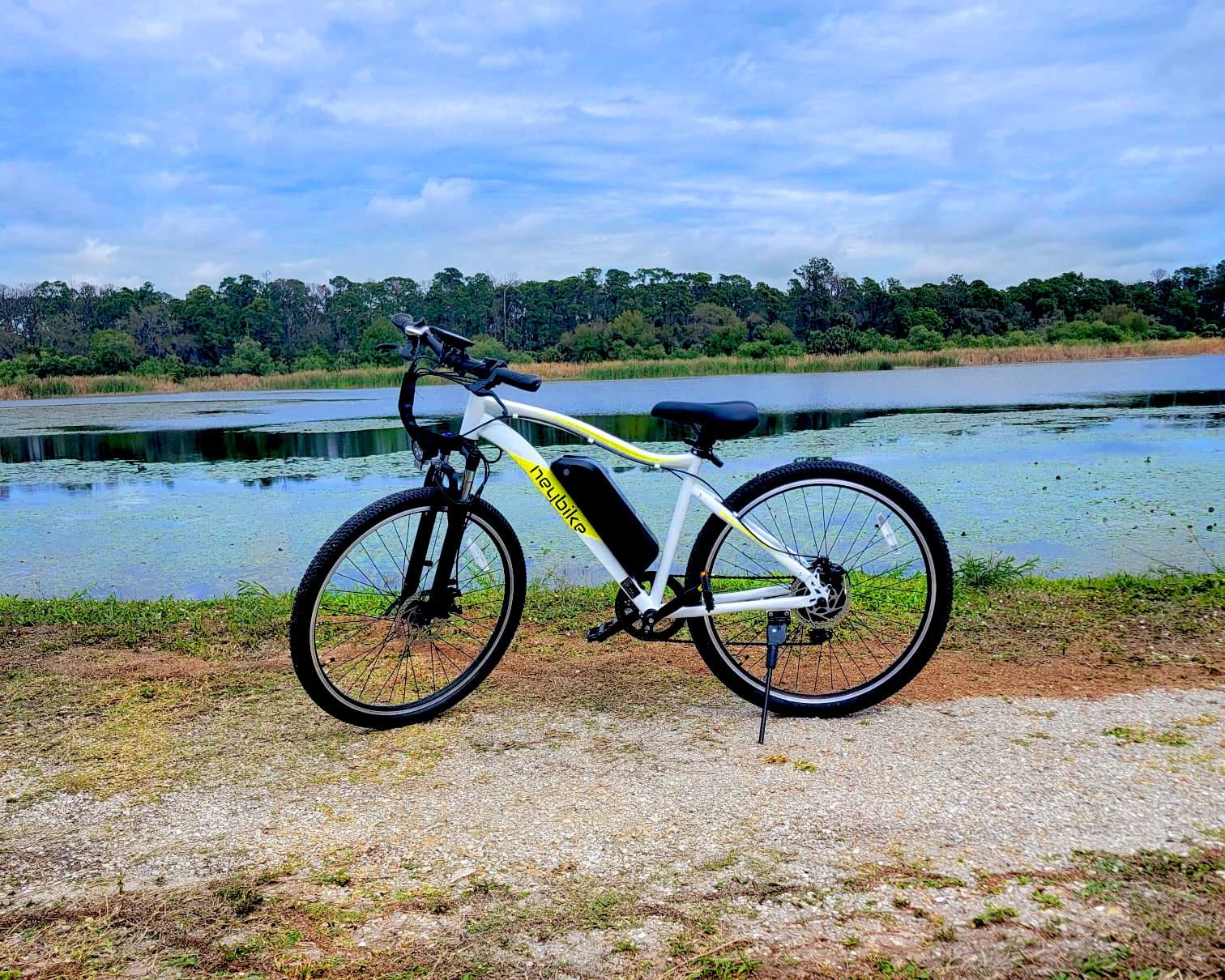 eBike Adventure with Paradise Rentals in South Florida