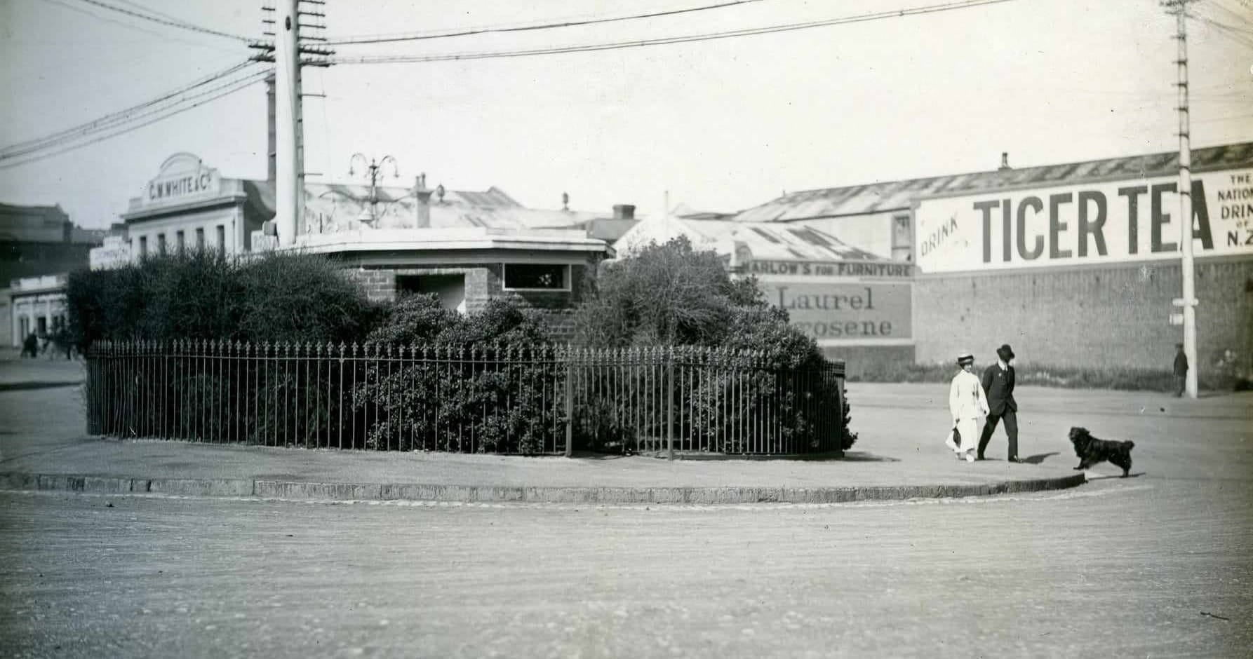 Historical Walking Tour of Dunedin’s Dark Past with Tales From Darkest Dunedin