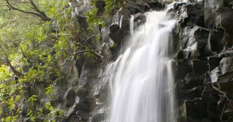 Waterfall & Water Adventure with Hike Maui in Kahului