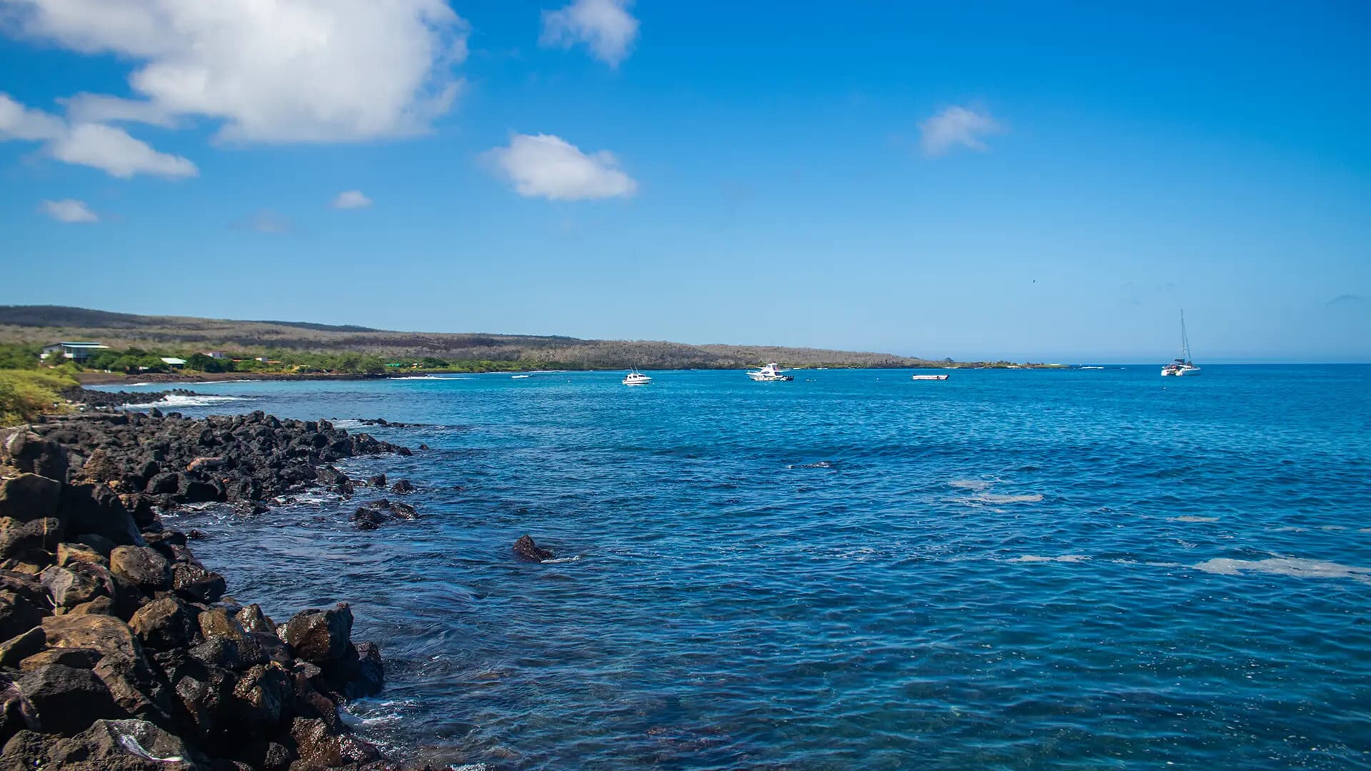 Floreana Island Day Trip: Asilo de la Paz, Giant Tortoises & Sea Lions