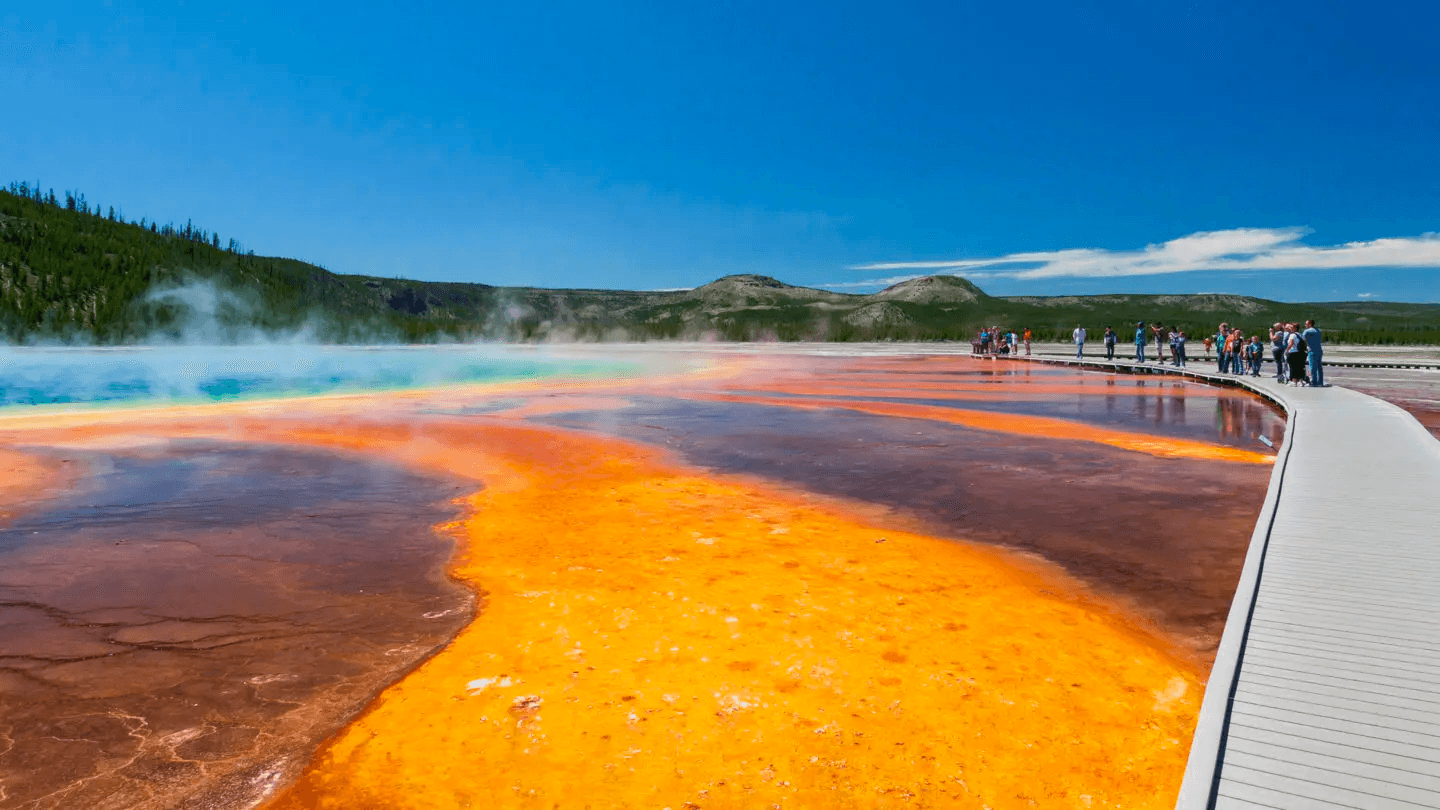 Yellowstone Safari Tour: Waterfalls & Wildlife Adventures