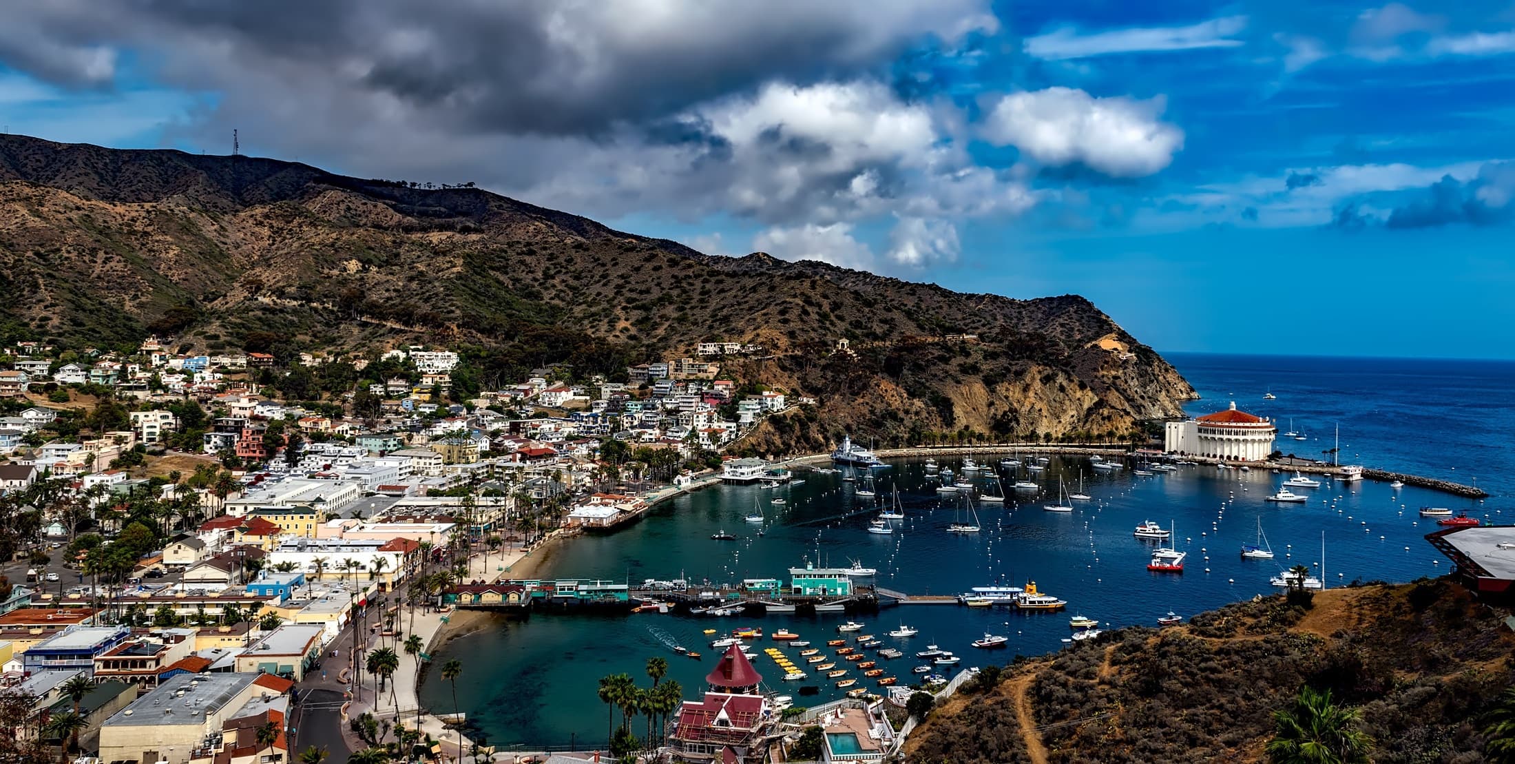 Virtual Travel Journal: Catalina Island Foraging and Trail Safety with Nicole Snell photo 1