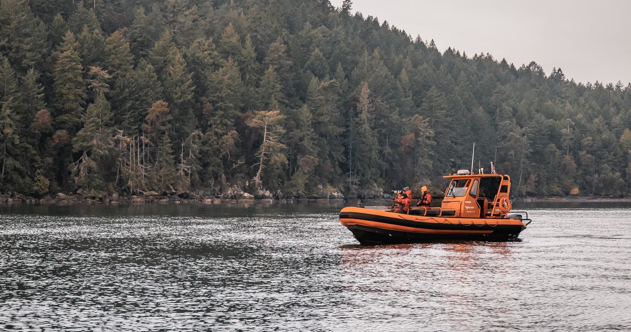 Whale Watching Adventures with Vancouver Island Whale Watch