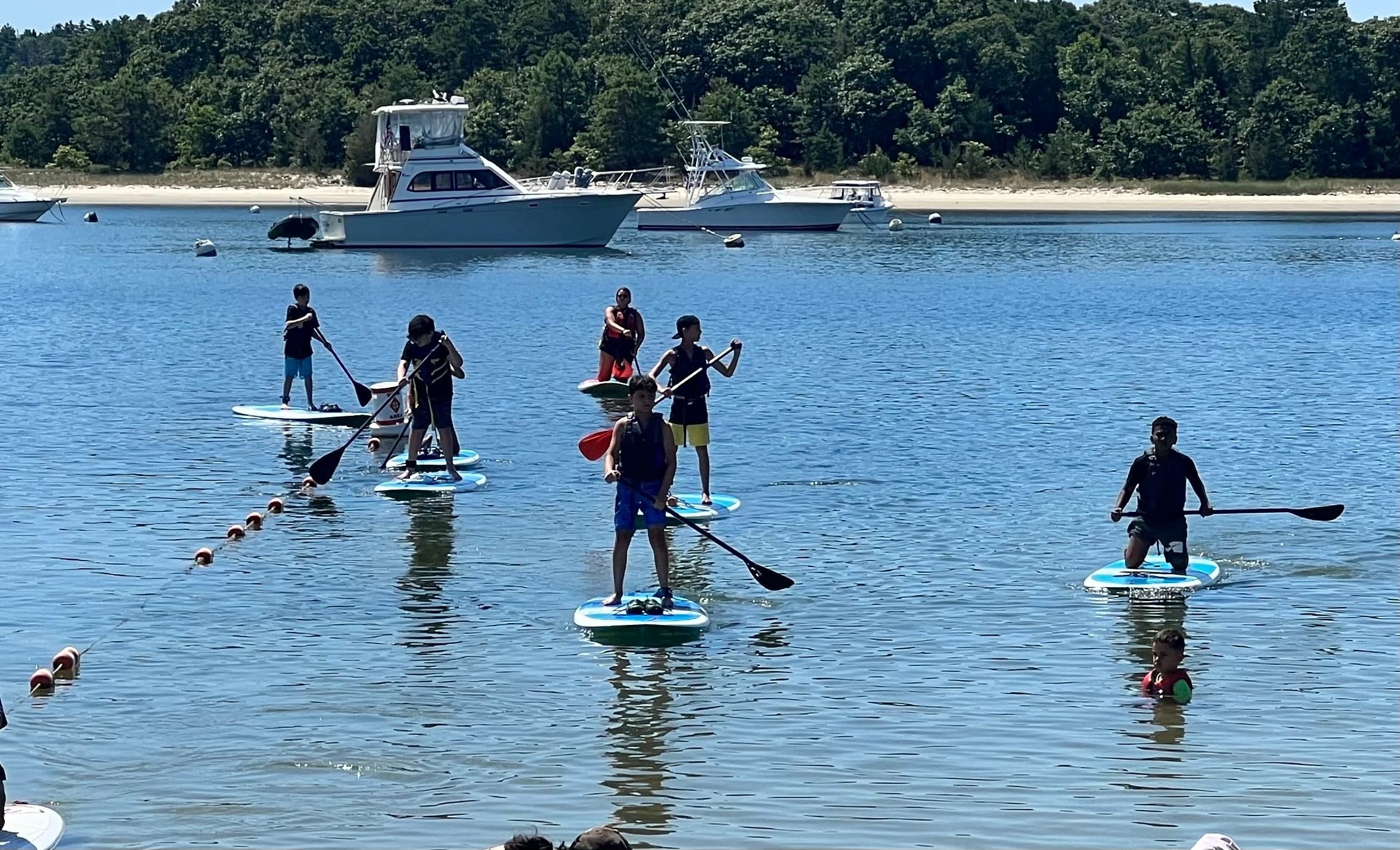 Water Activities: Paddleboard Rental by Buzzards Bay Coalition