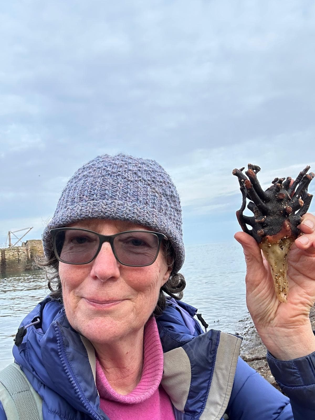 Seaweed Compost & Craft with Fife Seaweed Fest in Kingsbarns
