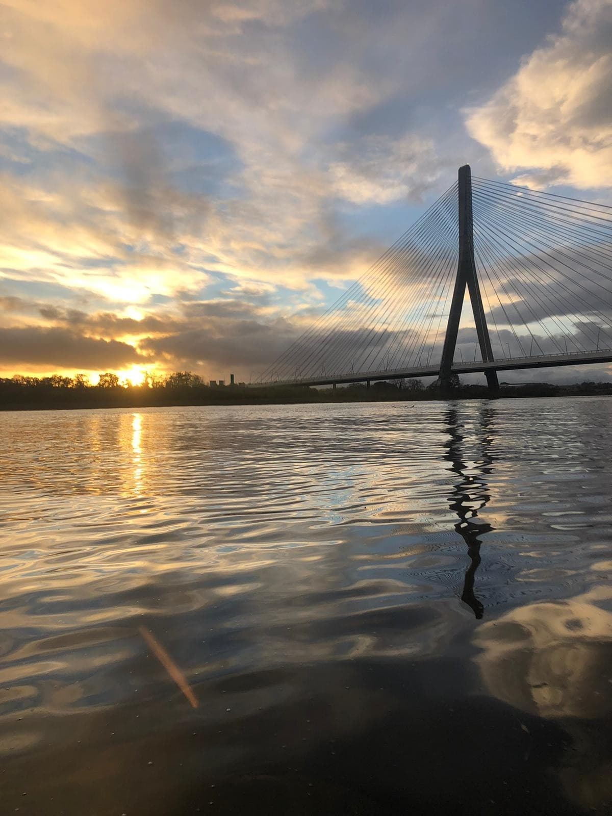 Private Osprey Viking Cruise on Waterford Estuary: Private Viking River Experience