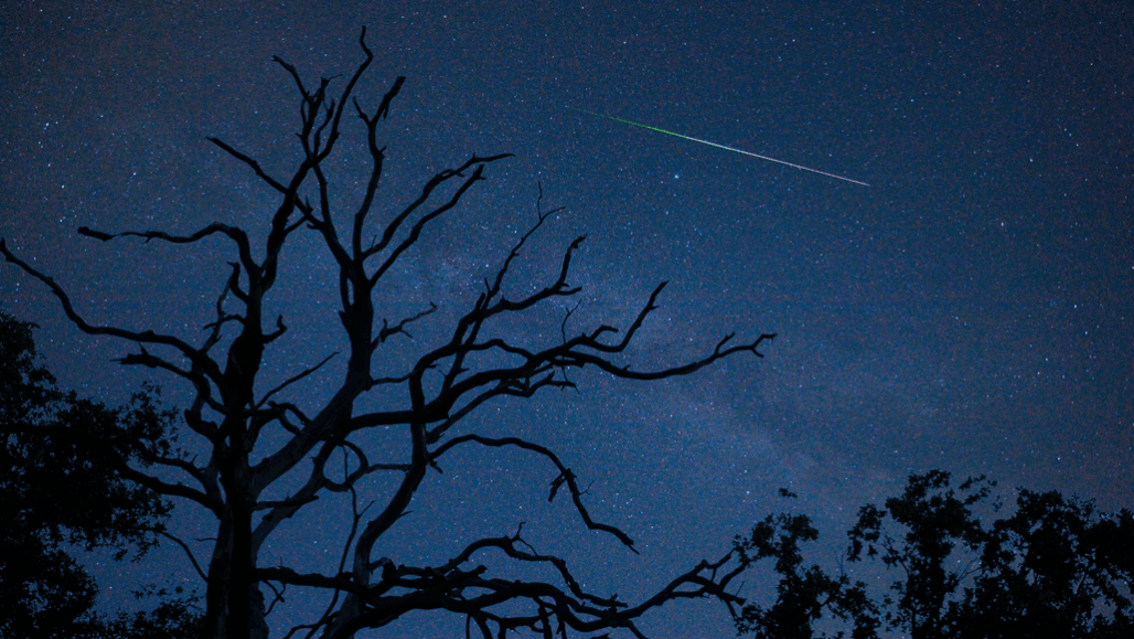 Starlit Waterways Kayak Tour in Homosassa, Florida