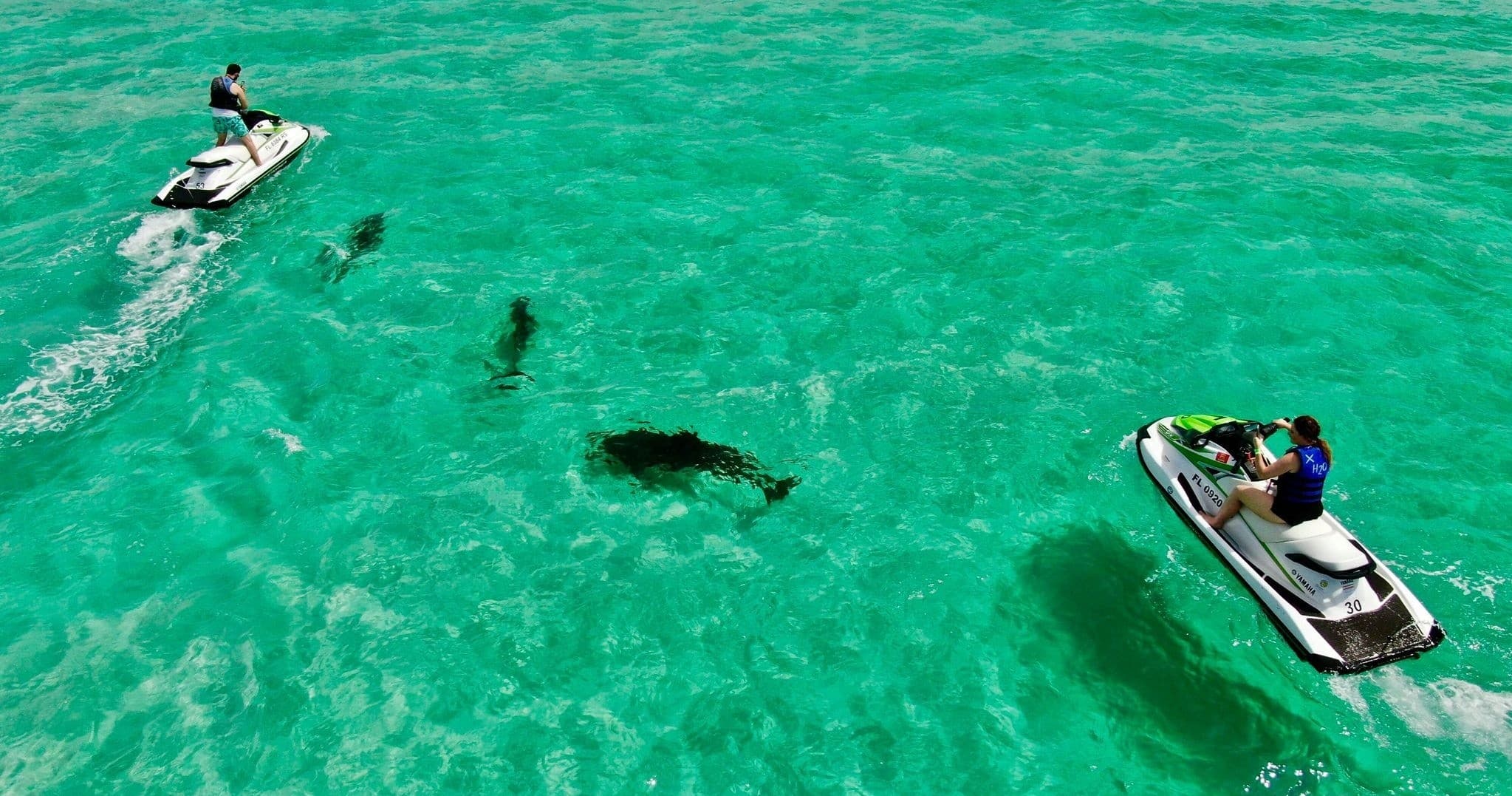 Jet skis riding in clear turquoise water near marine life