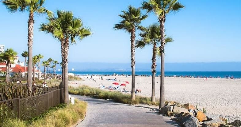 Iconic San Diego Running Tours fleet