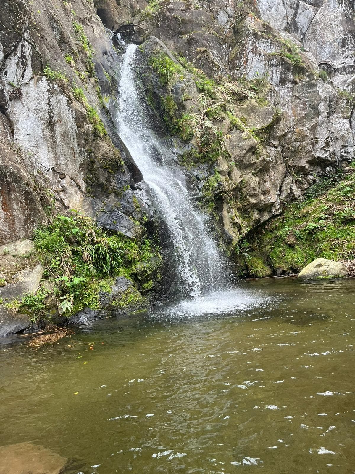 Waterfall Wanderlust Hike on São Miguel: Mill Ruins, Cascata da Gruta and Atlantic Views photo 1