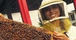 Smiling beekeeper in protective veil holding honey frame at apiary