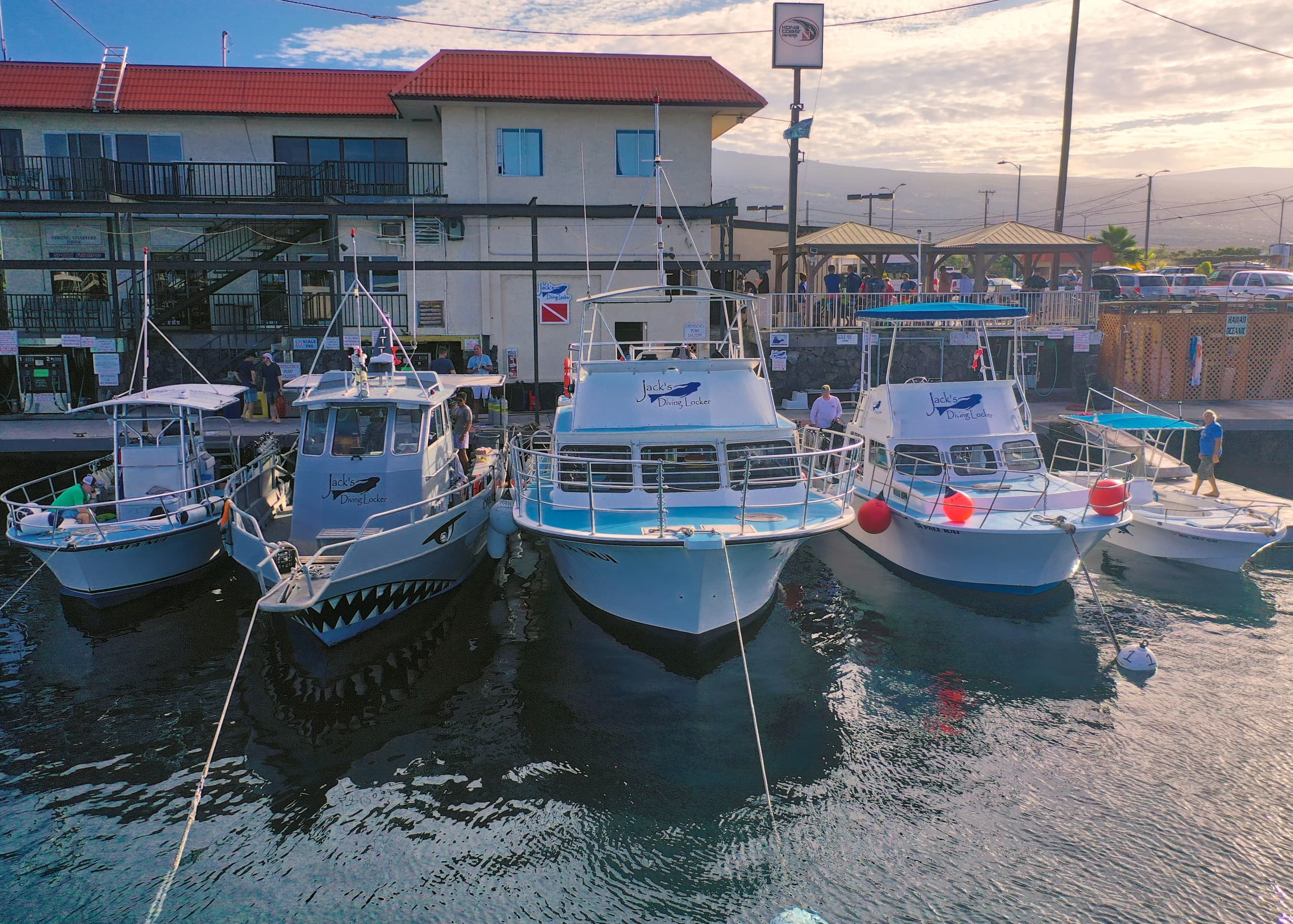 Water-Activities with Jack's Diving Locker: Private Day Charter Adventure