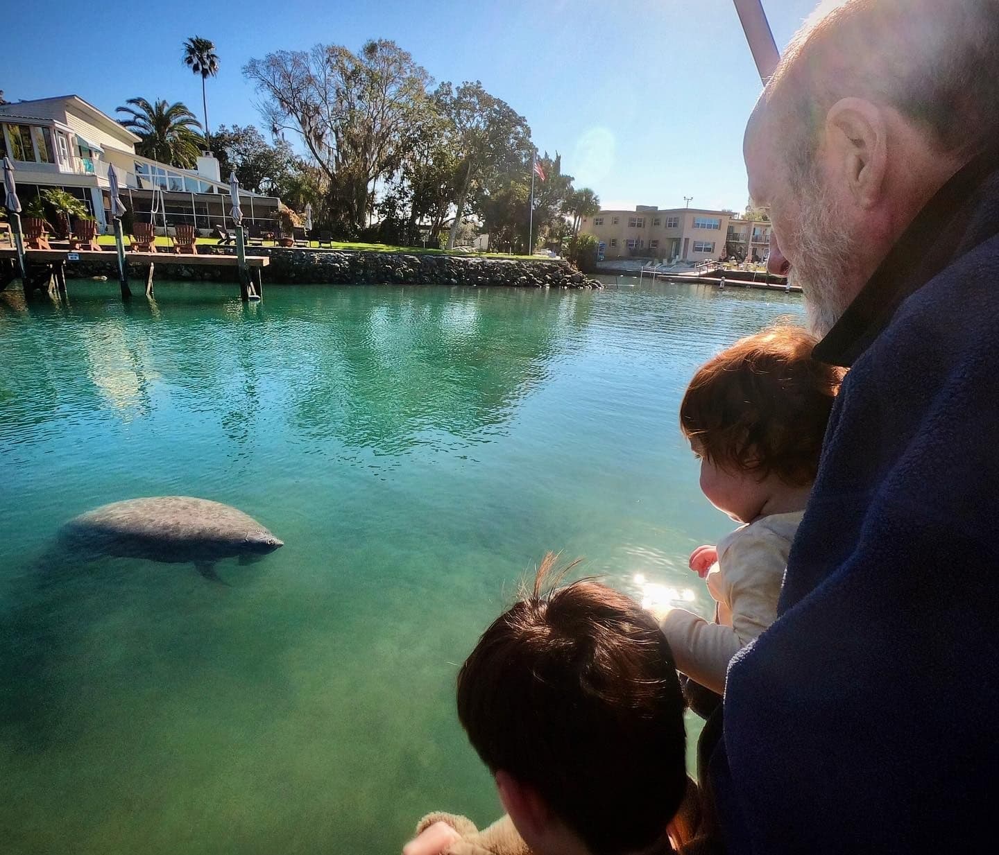 Crystal River Sightseeing Tour: Explore Florida’s Natural Beauty