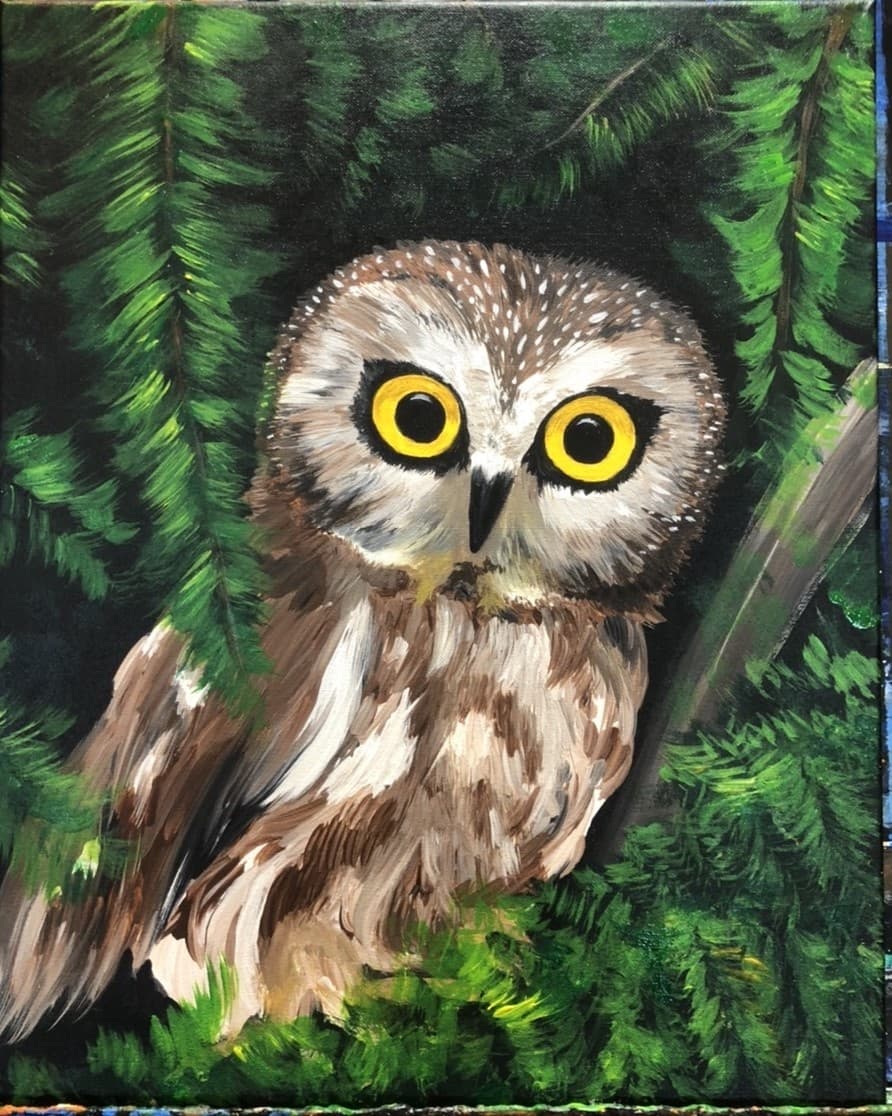 Wildlife & Birdwatching with Sa-Wheet Owl in Woodbury