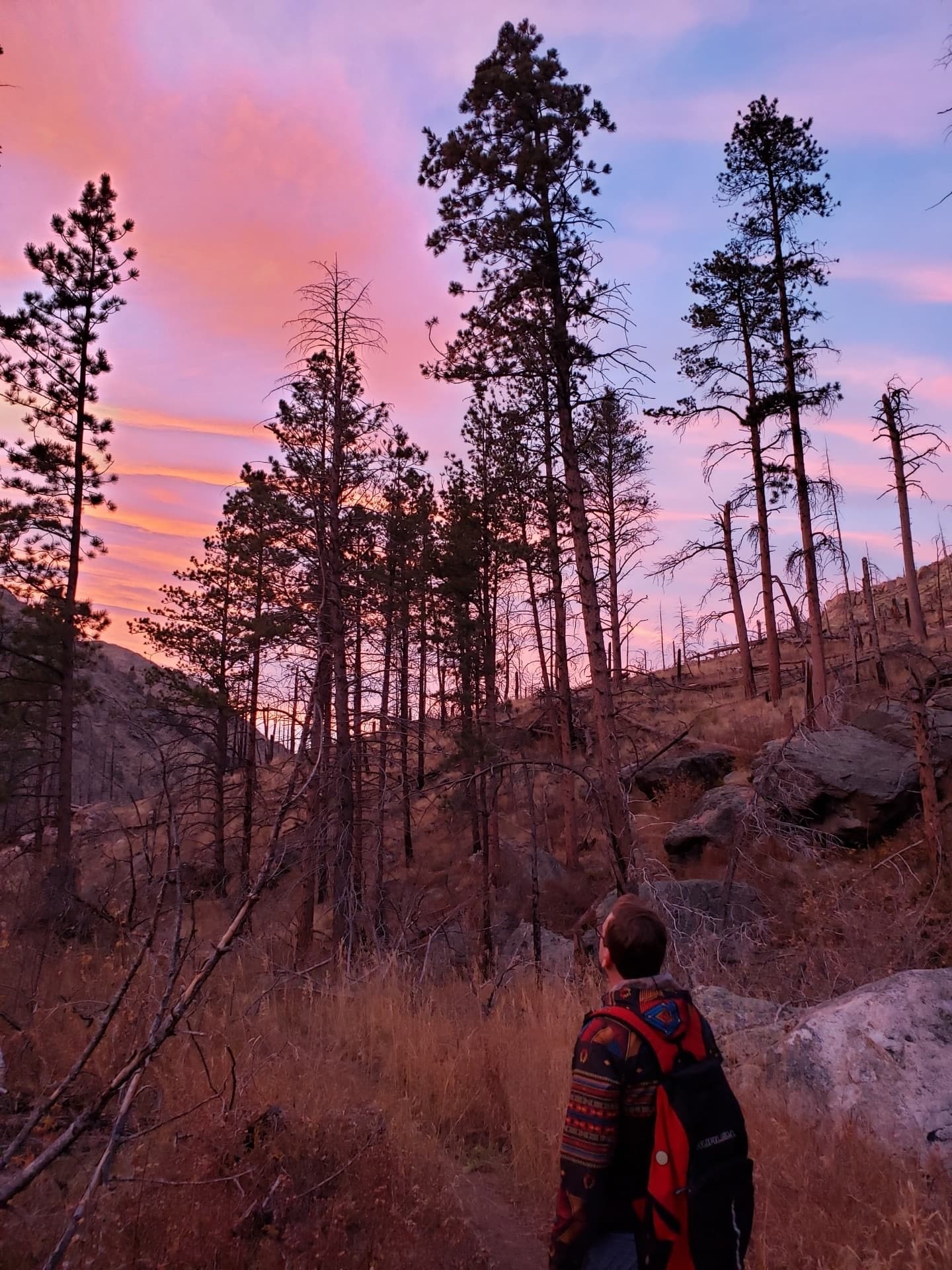 Private Full Day Chasm Lake Hike in Estes Park, CO