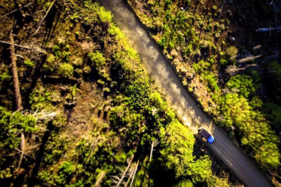 Jeep driving scenic forest road aerial view in Big Bear